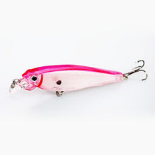 Load image into Gallery viewer, Minnow Fishing Lure
