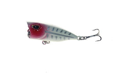 Load image into Gallery viewer, Popper Fishing Lures