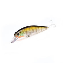 Load image into Gallery viewer, Minnow Lures