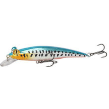 Load image into Gallery viewer, Fishing Lure