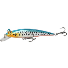 Load image into Gallery viewer, Fishing Lure