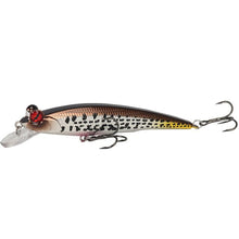 Load image into Gallery viewer, Fishing Lure