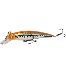 Load image into Gallery viewer, Fishing Lure