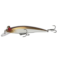 Load image into Gallery viewer, Fishing Lure