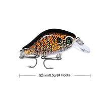 Load image into Gallery viewer, Fish Fishing Lure