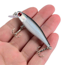 Load image into Gallery viewer, Fishing Lure Quality