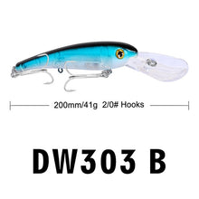 Load image into Gallery viewer, Hook Big Baits