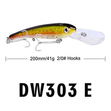 Load image into Gallery viewer, Hook Big Baits