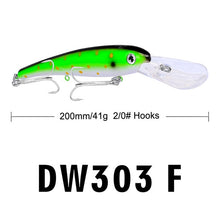 Load image into Gallery viewer, Hook Big Baits