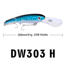 Load image into Gallery viewer, Hook Big Baits