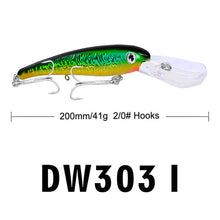 Load image into Gallery viewer, Hook Big Baits