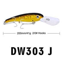 Load image into Gallery viewer, Hook Big Baits
