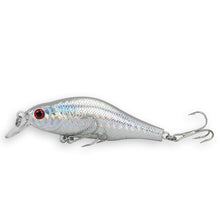 Load image into Gallery viewer, Fishing lures Bass