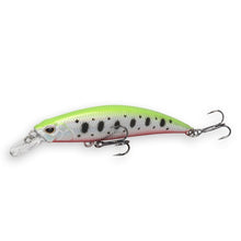 Load image into Gallery viewer, Pike Fishing Lure