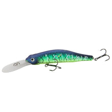 Load image into Gallery viewer, Fishing Lures Hard