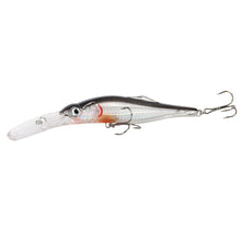 Load image into Gallery viewer, Fishing Lure