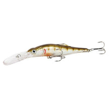 Load image into Gallery viewer, Fishing Lure