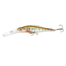 Load image into Gallery viewer, Fishing Lure