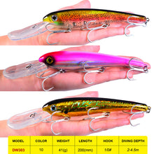 Load image into Gallery viewer, Hook Big Baits