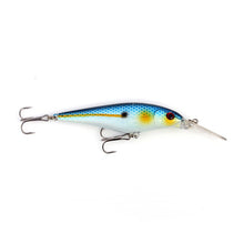 Load image into Gallery viewer, Minnow streak lures